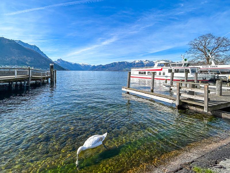 Gmunden: DAS Penthouse am See – cool & anders!