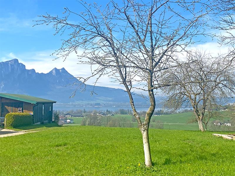 Mondsee: Traumhaftes Grundstück mit See- & Bergblick