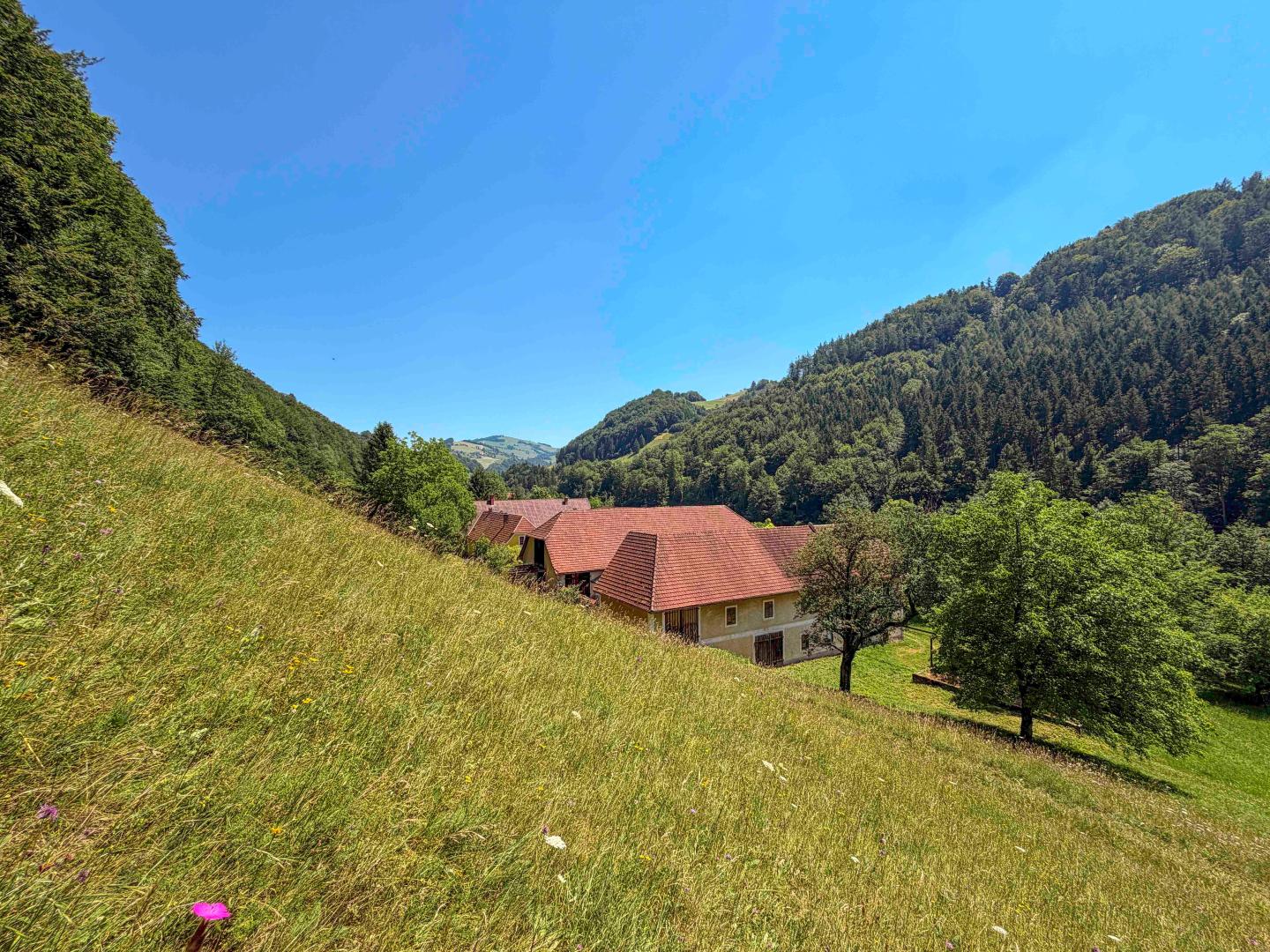 Land & Gut: Herrschaftlicher Gutshof. Eingebettet in der Natur des Ennstals.