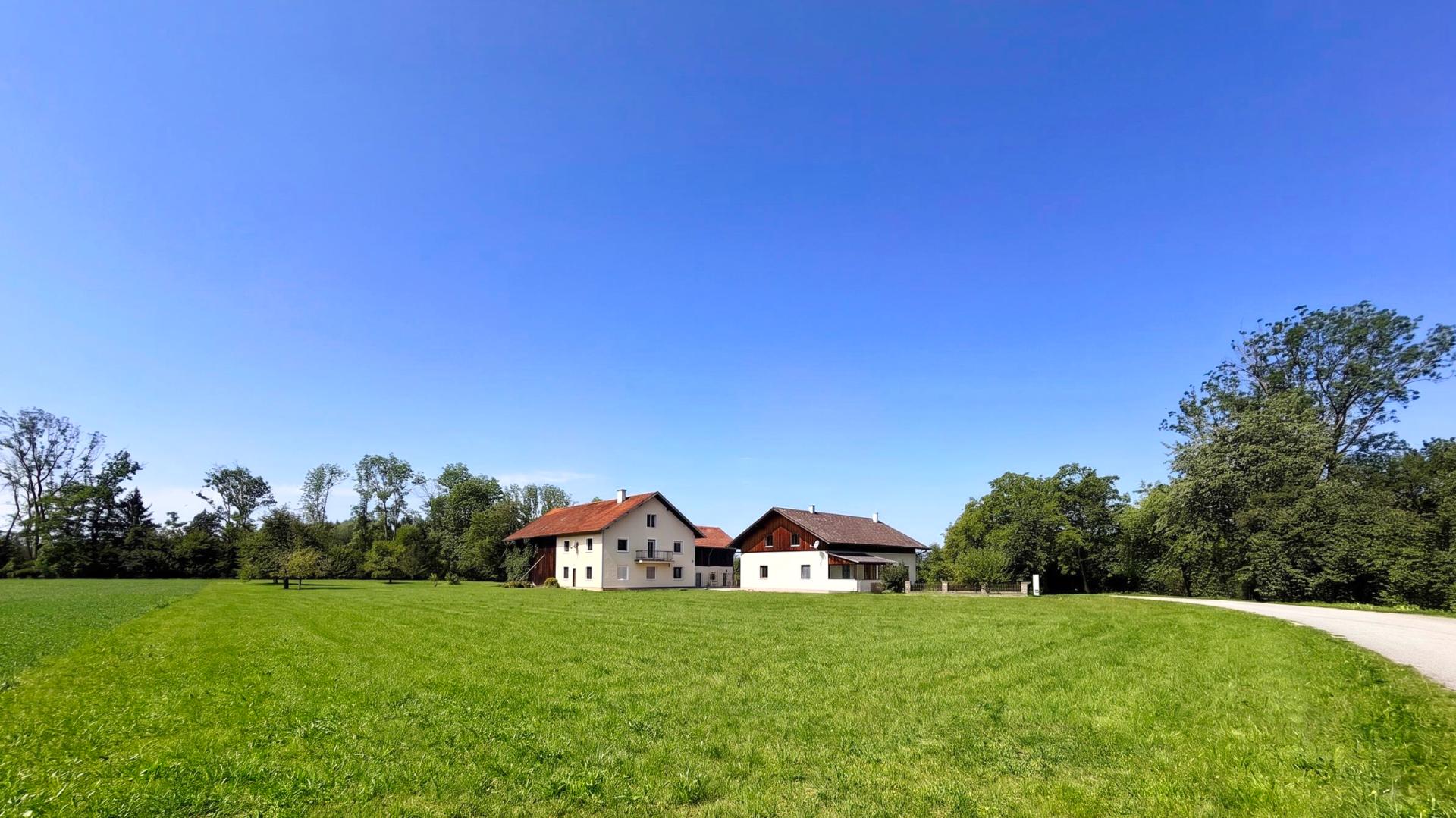 Land & Gut: Solide Hofstelle mit arrondierten Flächen in Endlage