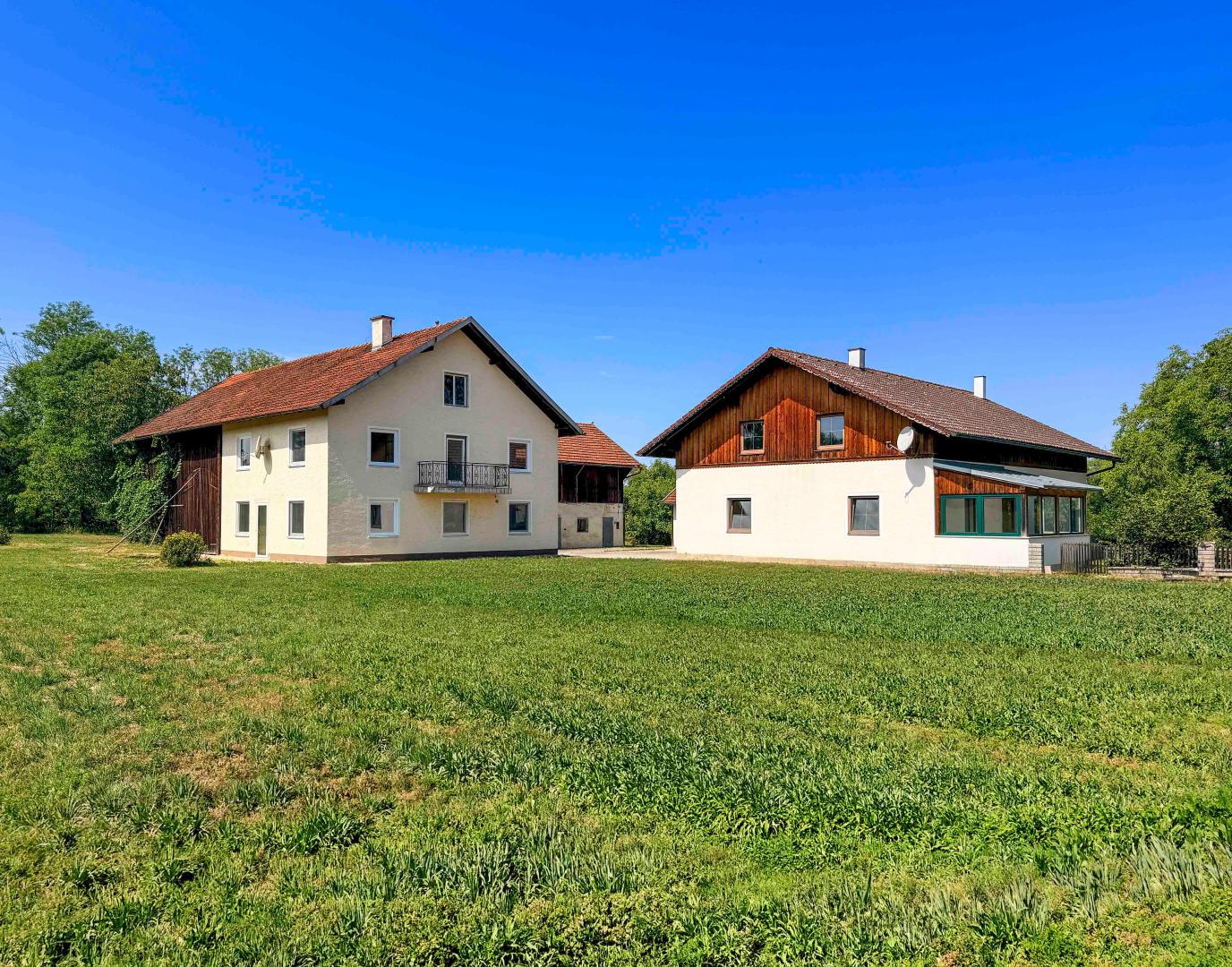 Land & Gut: Solide Hofstelle mit arrondierten Flächen in Endlage