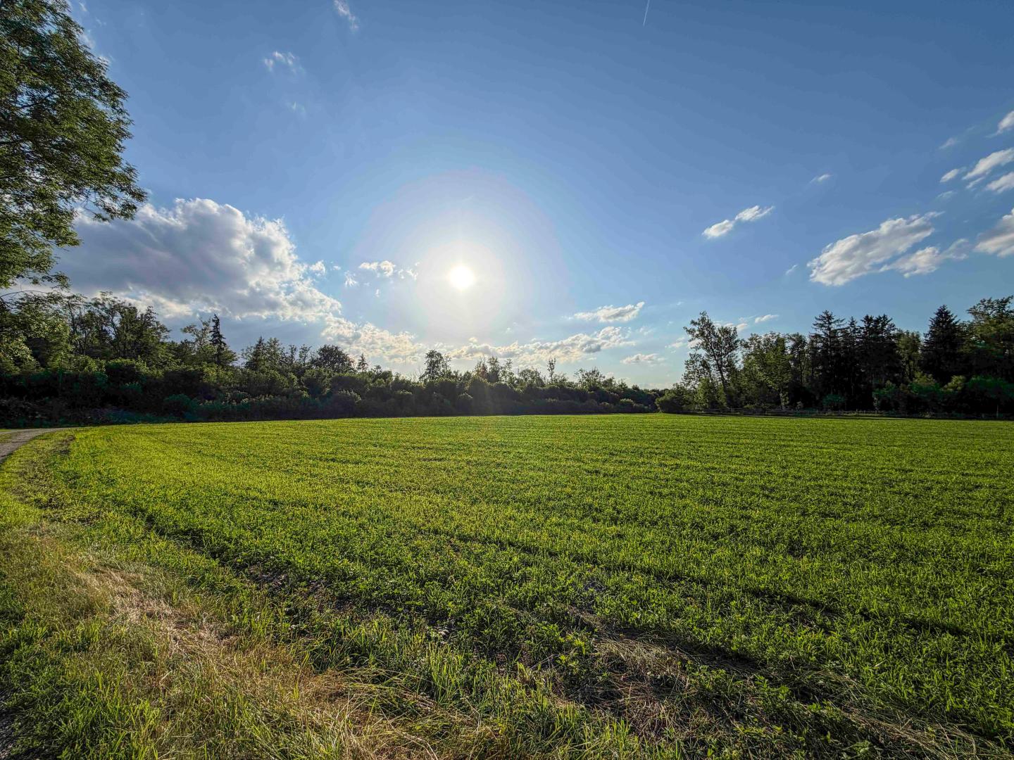 Land & Gut: Solide Hofstelle mit arrondierten Flächen in Endlage