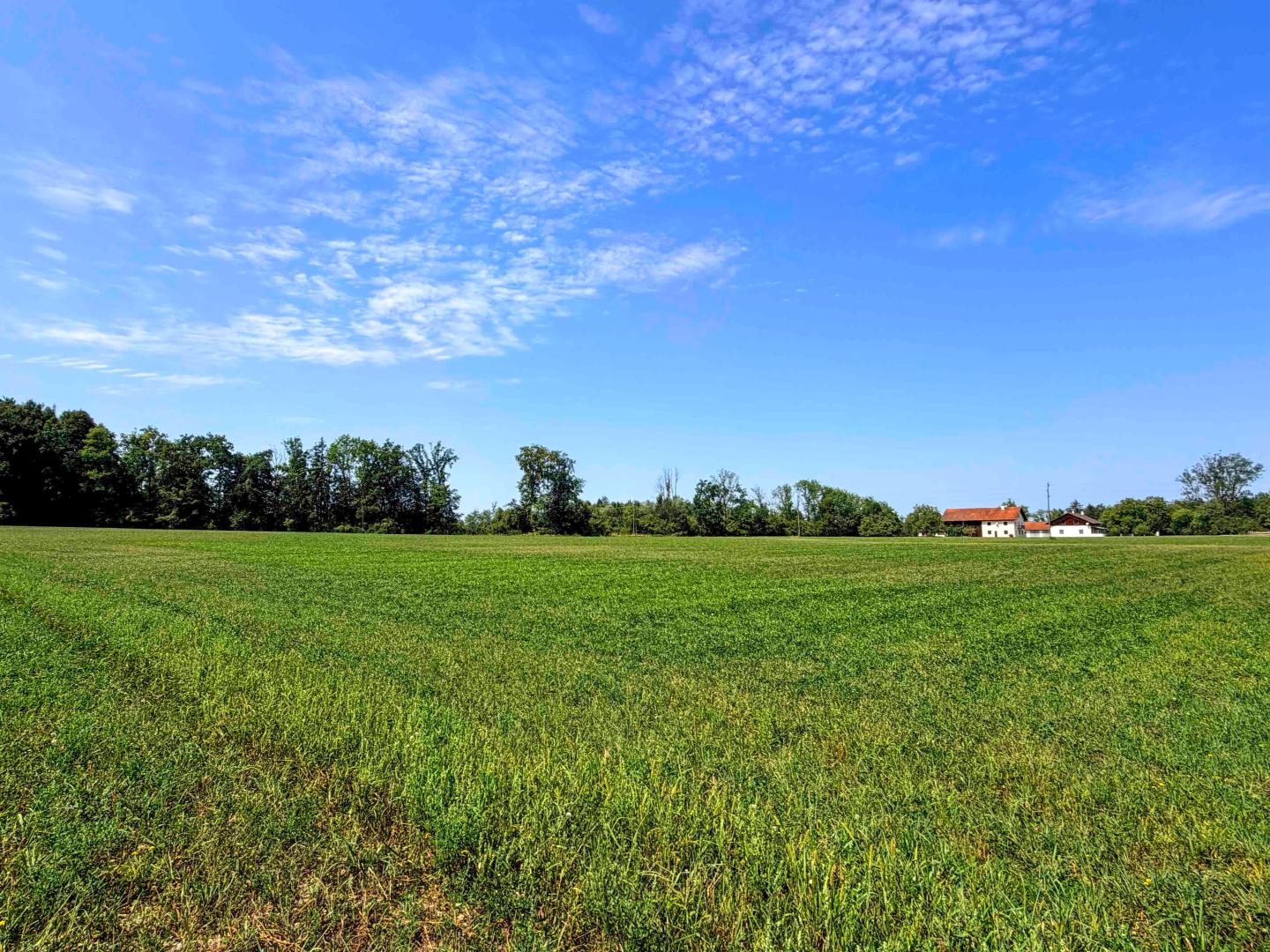 Land & Gut: Solide Hofstelle mit arrondierten Flächen in Endlage