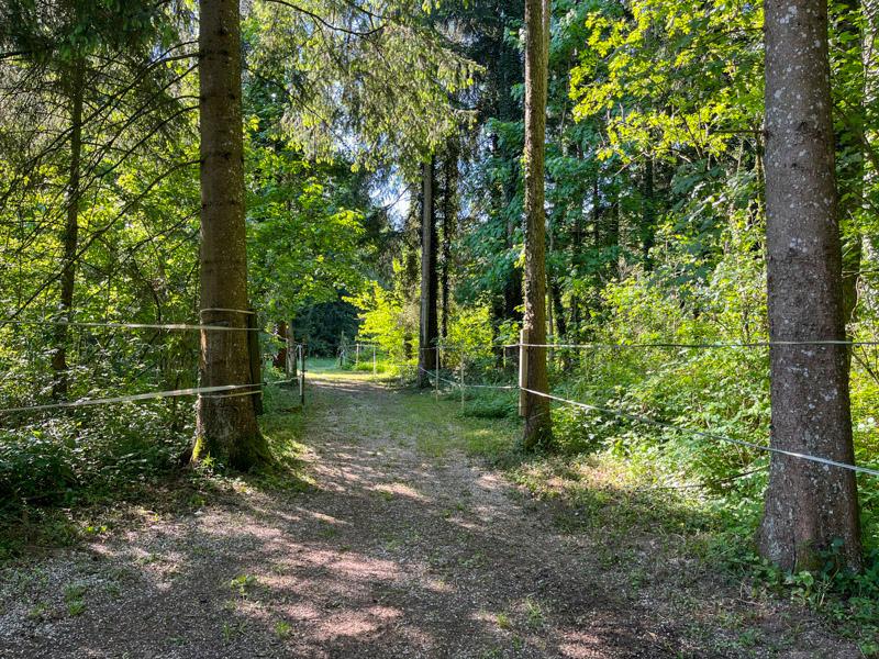Land & Gut: Arrondiertes Gut in städtischer Alleinlage in Gmunden