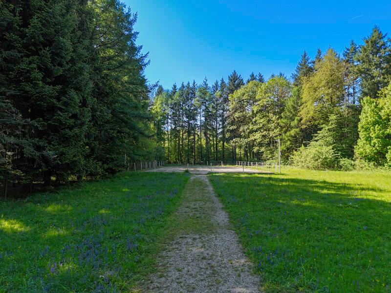 Land & Gut: Arrondiertes Gut in städtischer Alleinlage in Gmunden