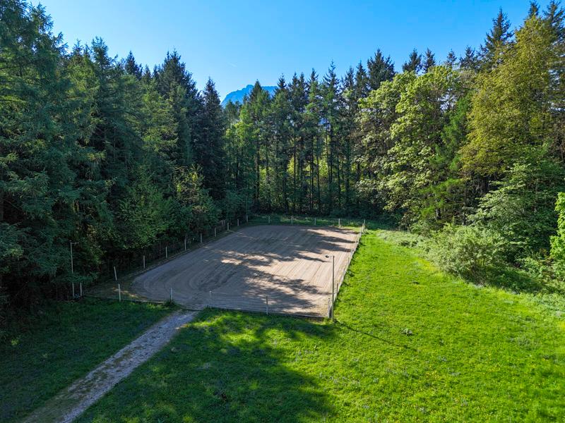 Land & Gut: Arrondiertes Gut in städtischer Alleinlage in Gmunden
