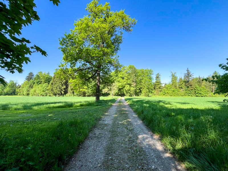 Land & Gut: Arrondiertes Gut in städtischer Alleinlage in Gmunden