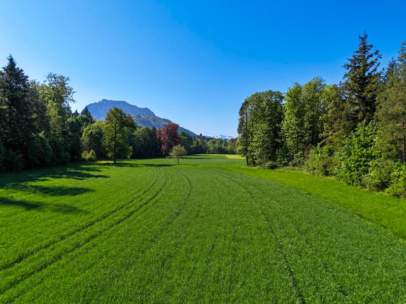 Land & Gut: Arrondiertes Gut in städtischer Alleinlage in Gmunden