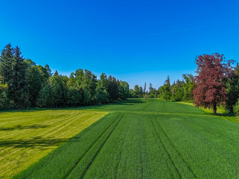 Land & Gut: Arrondiertes Gut in städtischer Alleinlage in Gmunden