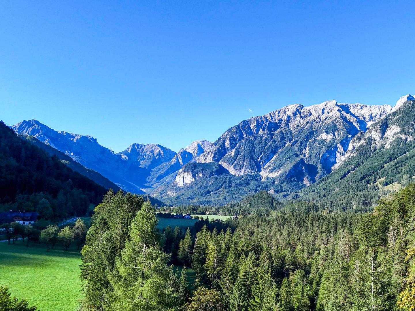 Land & Gut: Forsthaus in Allein- & Hügelkopflage mit Kaiserblick