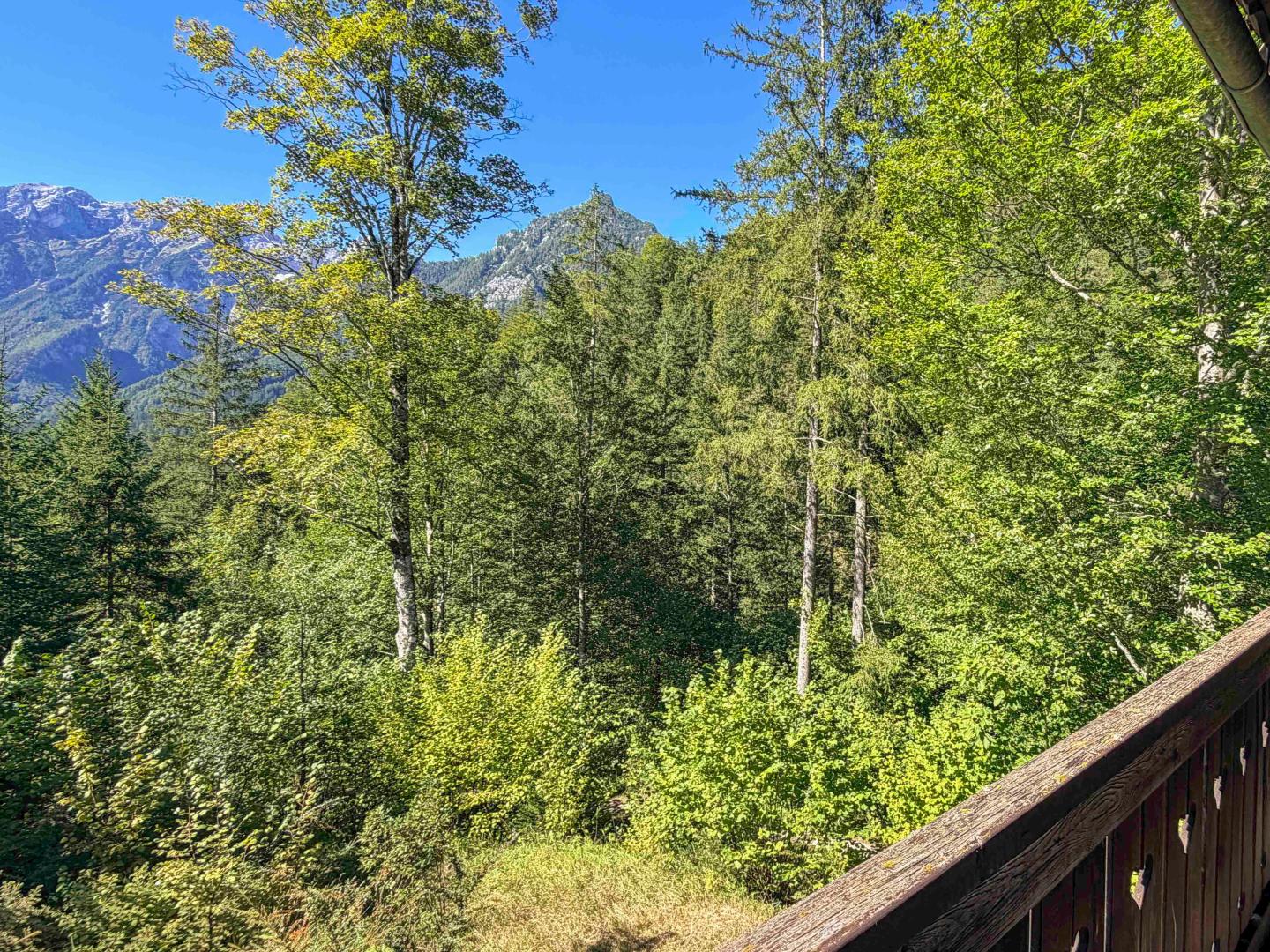 Land & Gut: Forsthaus in Allein- & Hügelkopflage mit Kaiserblick