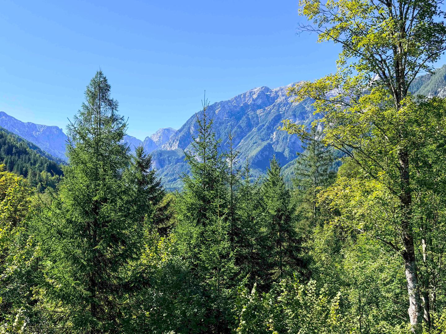 Land & Gut: Forsthaus in Allein- & Hügelkopflage mit Kaiserblick