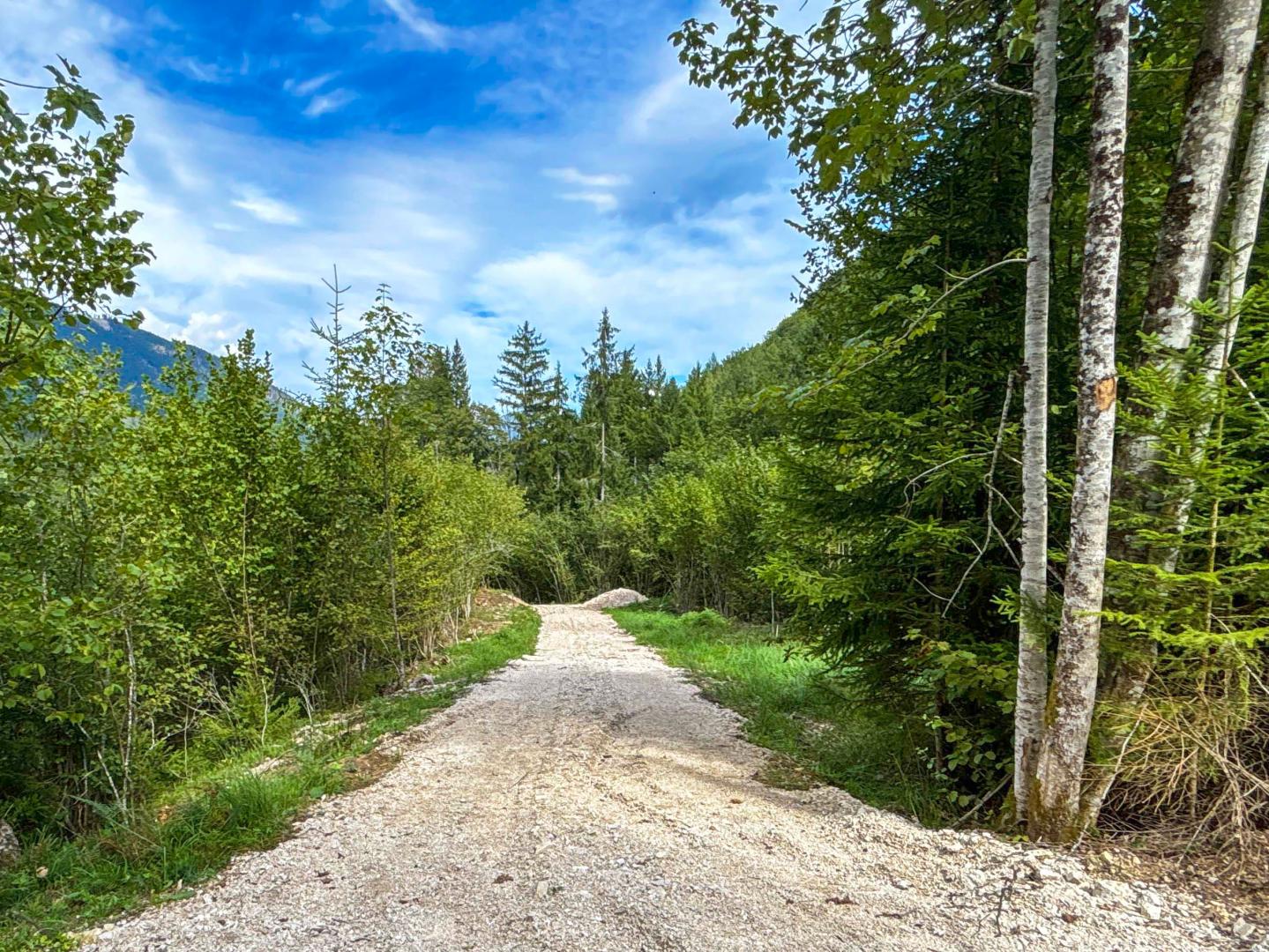 Land & Gut: Forsthaus in Allein- & Hügelkopflage mit Kaiserblick