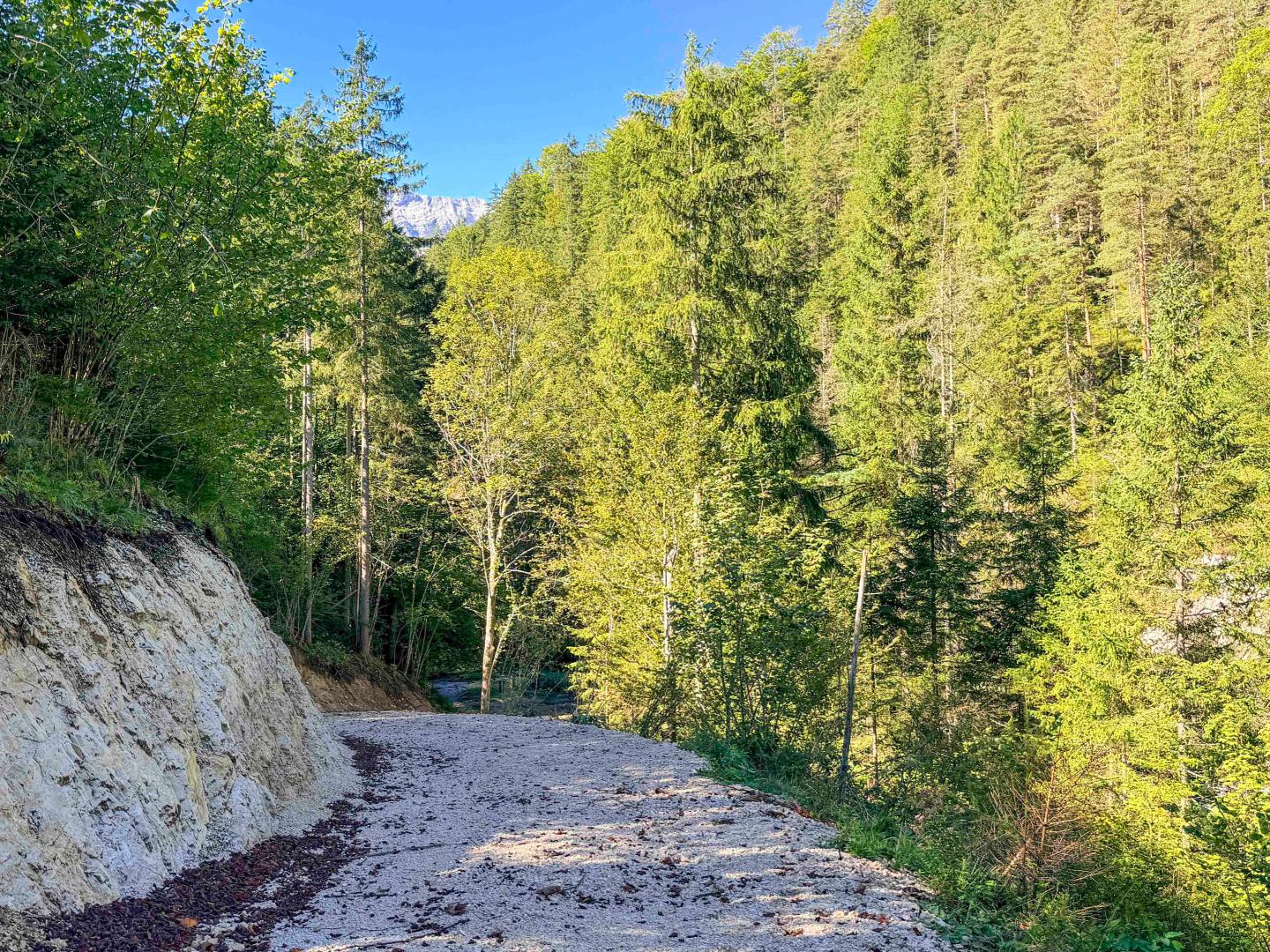 Land & Gut: Forsthaus in Allein- & Hügelkopflage mit Kaiserblick