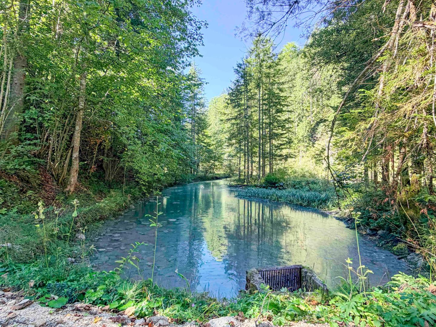 Land & Gut: Forsthaus in Allein- & Hügelkopflage mit Kaiserblick