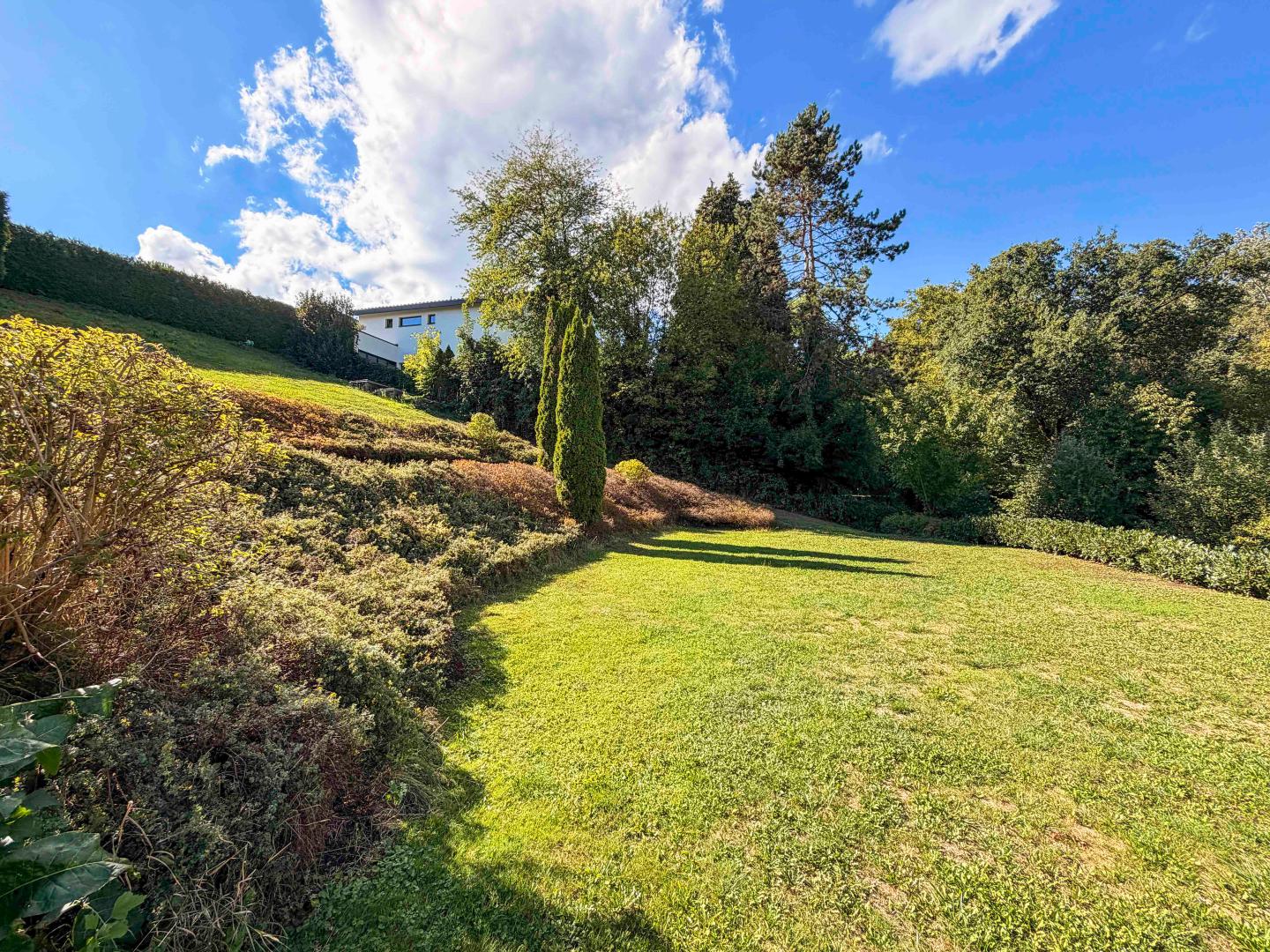 Natur vor der Tür. Stadt in unmittelbarer Nähe.