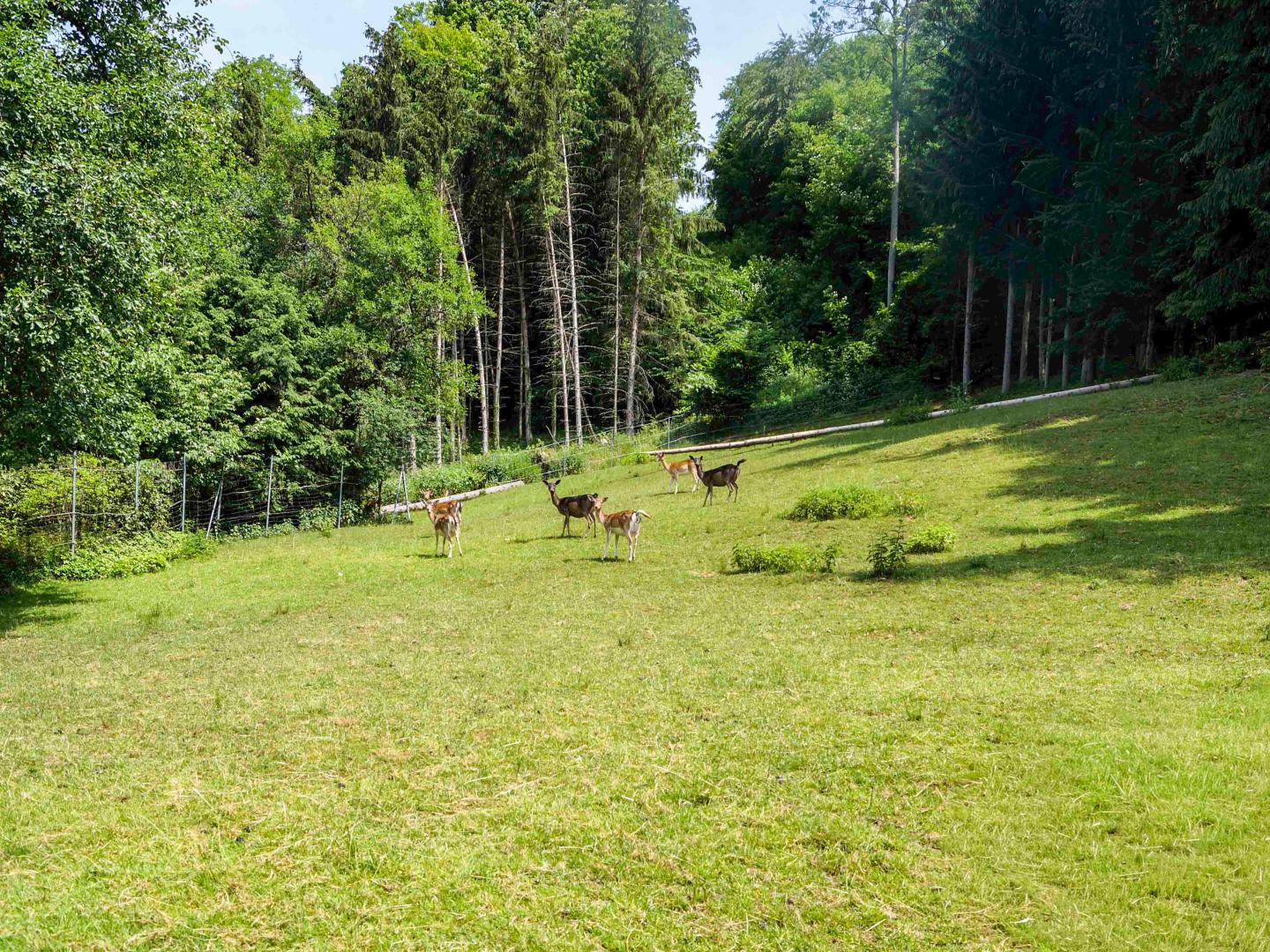 Donautal: Landhaus inmitten der Natur für Genießer